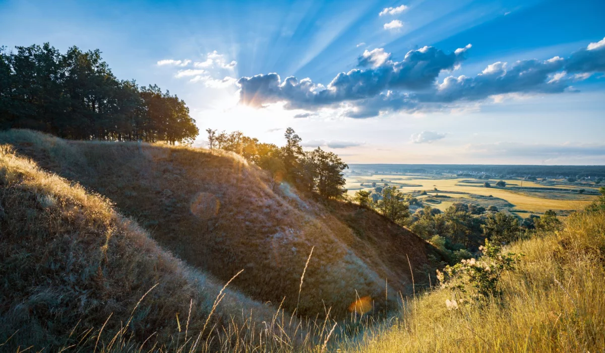 Czy żeby szkolić się potrzebne są studia?