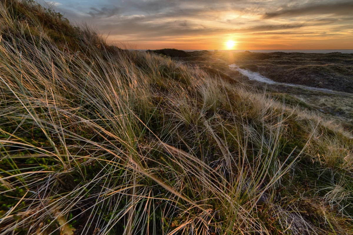 EPR we Francji: praktyczny przewodnik dla firm — obowiązki, opłaty i terminy wdrożenia